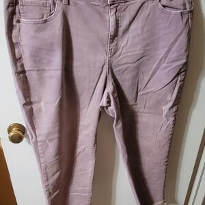 Lane Bryant Purple Capris